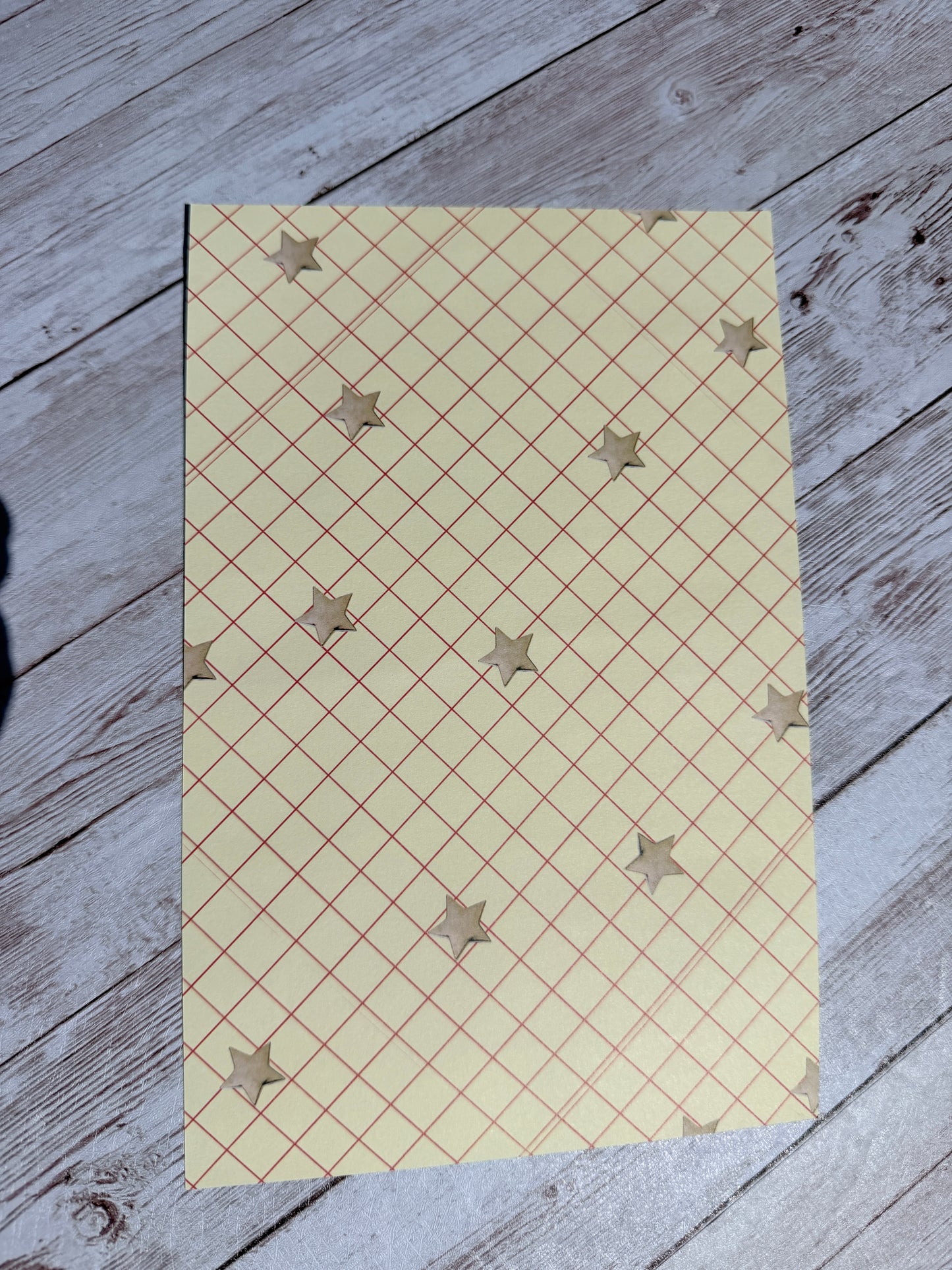 Friend In Me Journal/Scrapbook Paper